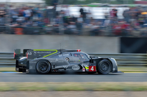 Lutte contre les nuisibles Le Mans