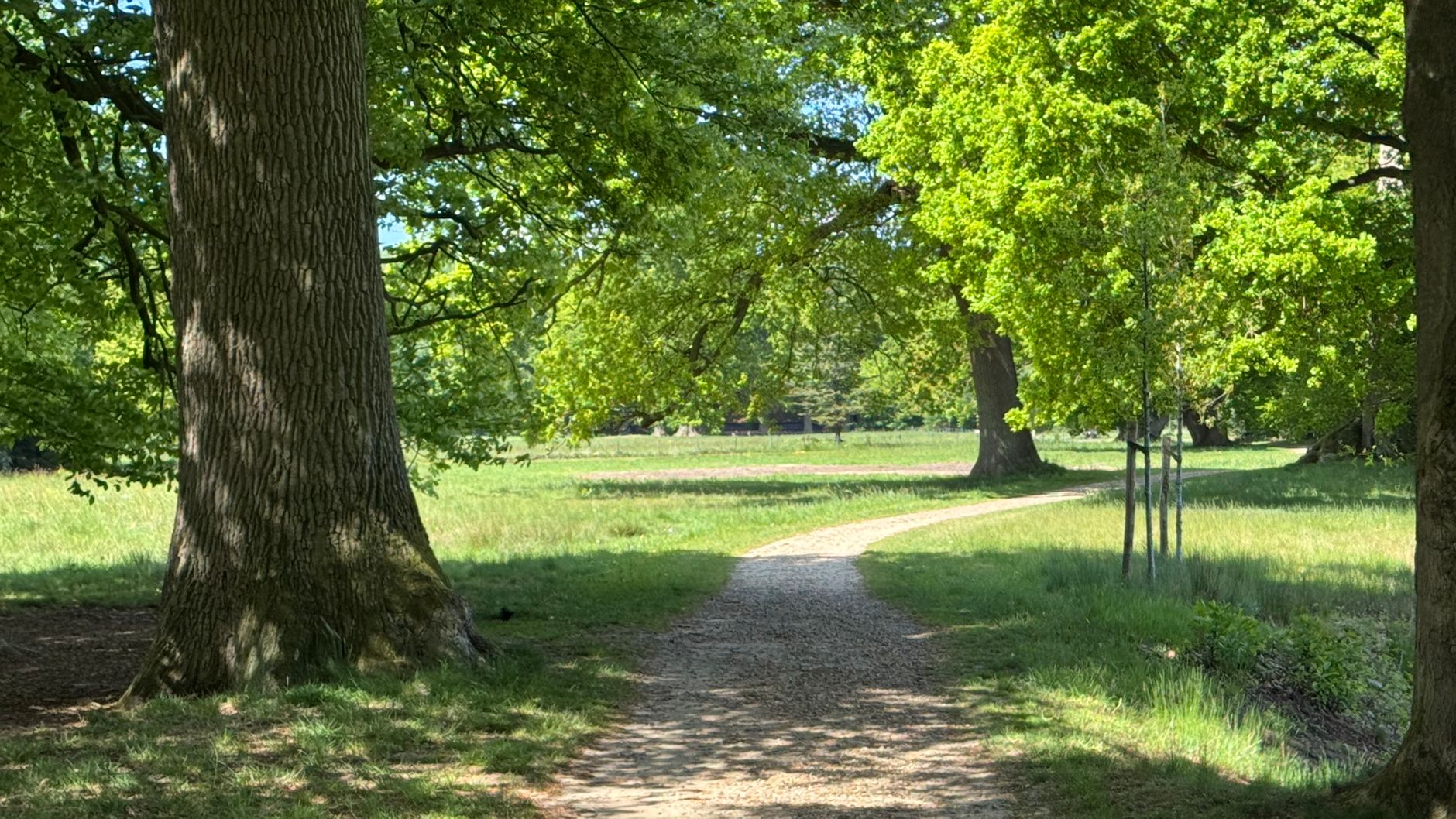 Lutte contre les nuisibles à Le Mans